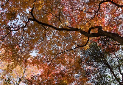 201111301000-DSC04442.jpg