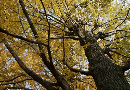201111301015-DSC04478.jpg