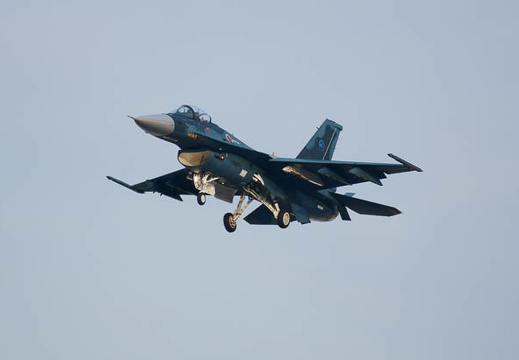 201111301535-DSC05059.jpg