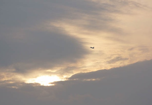 201111301557-DSC05182.jpg