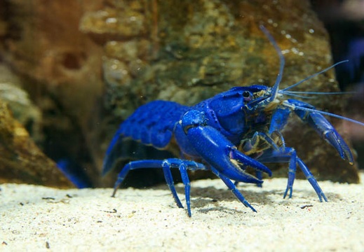 201112011240-DSC05435.jpg