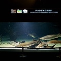 201112011245-DSC05462.jpg