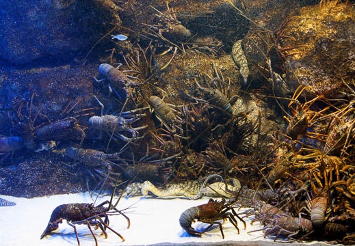 201112011331-DSC05654.jpg