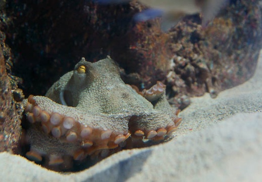 201112011339-DSC05713.jpg