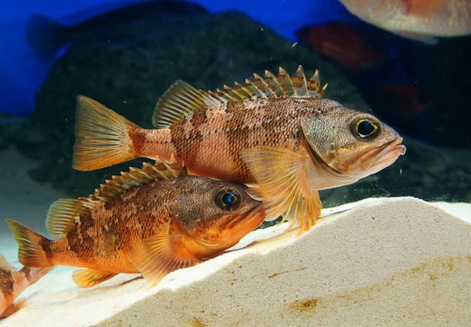 201112011347-DSC05746.jpg