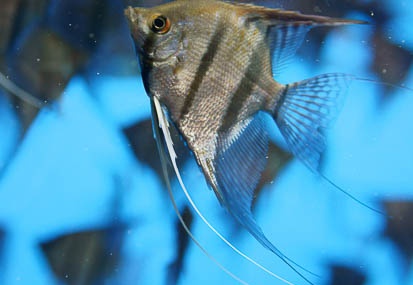 201112011353-DSC05782.jpg