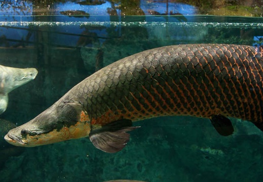 201112011359-DSC05806.jpg