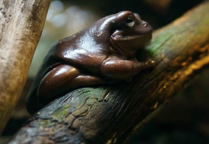 201112011409-DSC05836.jpg
