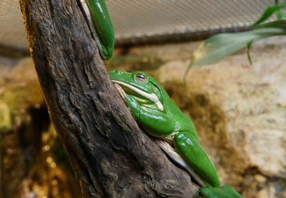 201112011410-DSC05843.jpg