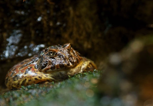 201112011411-DSC05855.jpg