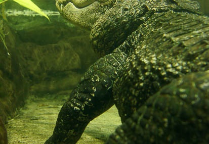 201112011423-DSC05886.jpg