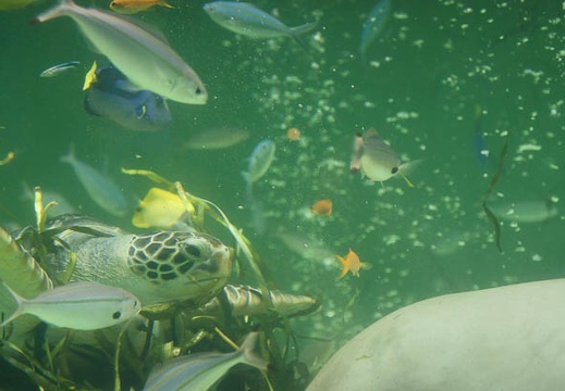 201112011508-DSC06062.jpg