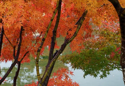 201112031152-DSC07071.jpg