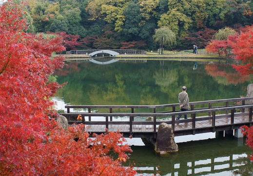 201112031159-DSC07096.jpg