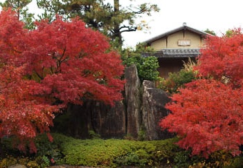 201112031204-DSC07104.jpg