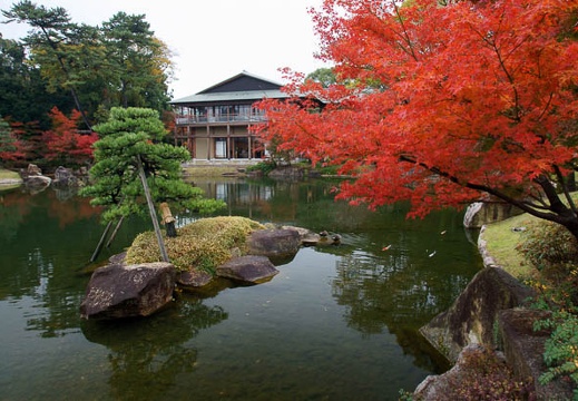 201112031210-DSC07123.jpg