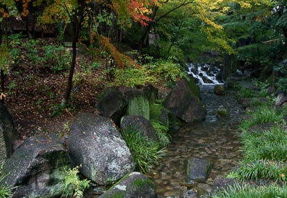 201112031237-DSC07197.jpg