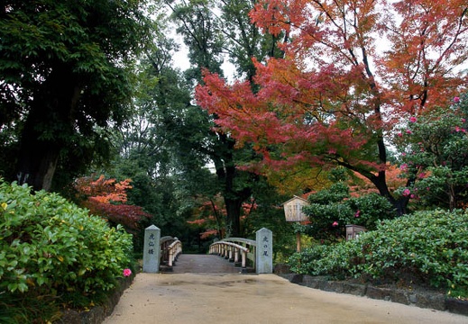 201112031306-DSC07255.jpg