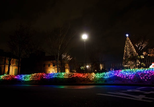 201112031736-DSC07396.jpg