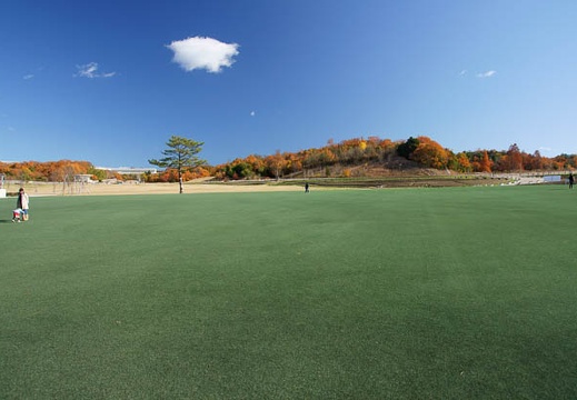201112041019-DSC07660.jpg