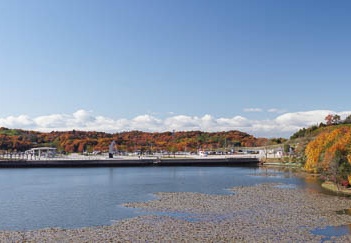 201112041053-DSC07710.jpg