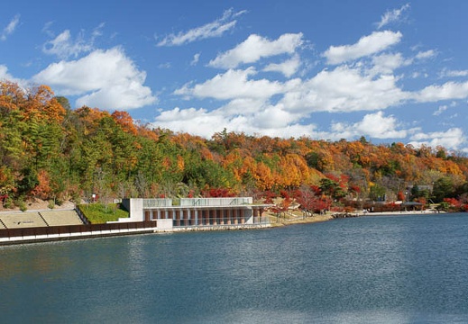 201112041132-DSC07790.jpg