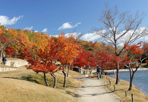 201112041140-DSC07814.jpg