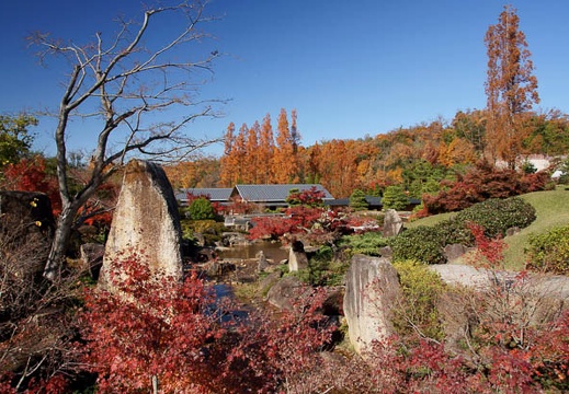 201112041232-DSC07922.jpg