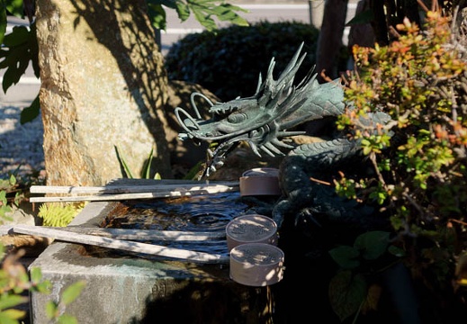 201112051102-DSC08307.jpg