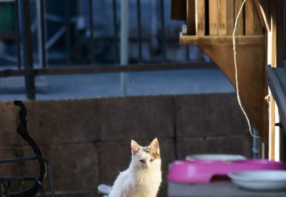 201112051108-DSC08327.jpg