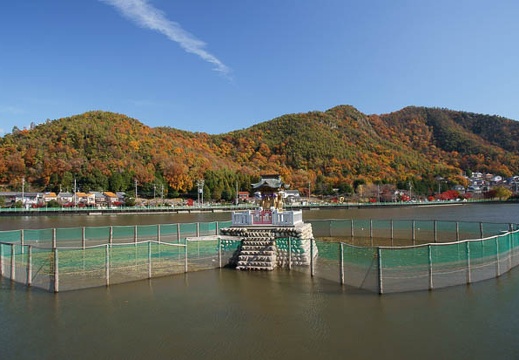 201112051119-DSC08366.jpg