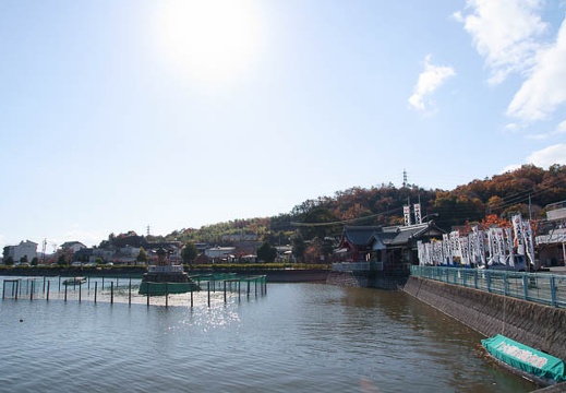 201112051124-DSC08379.jpg