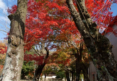 201112051137-DSC08410.jpg