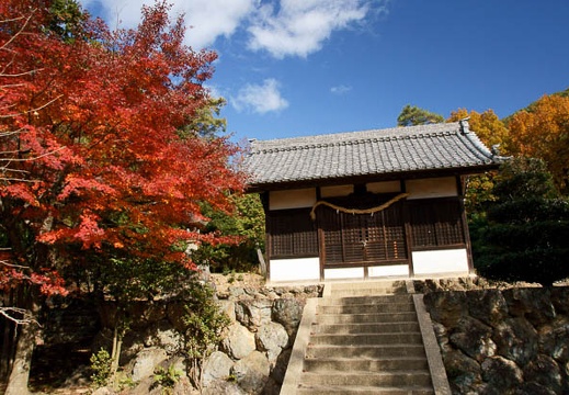 201112051139-DSC08414.jpg