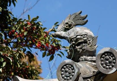 201112051141-DSC08421.jpg