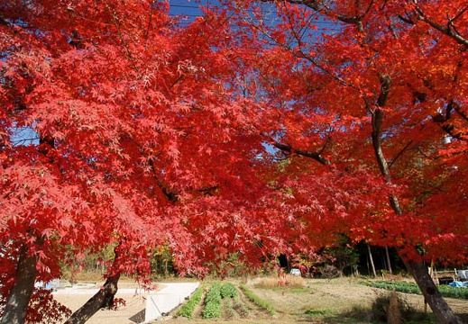 12.05 犬山城