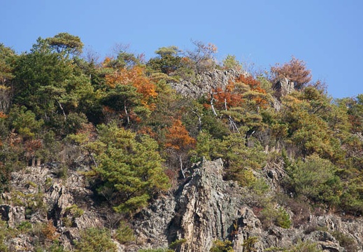 201112051149-DSC08454.jpg