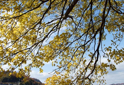 201112051153-DSC08470.jpg
