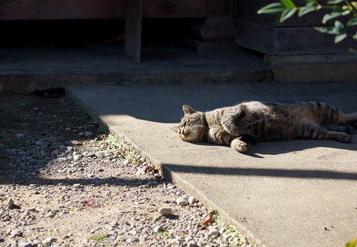 201112051235-DSC08571.jpg