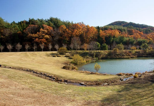 201112051321-DSC08630.jpg