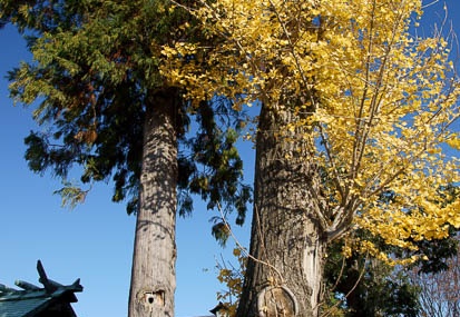 201112051405-DSC08638.jpg
