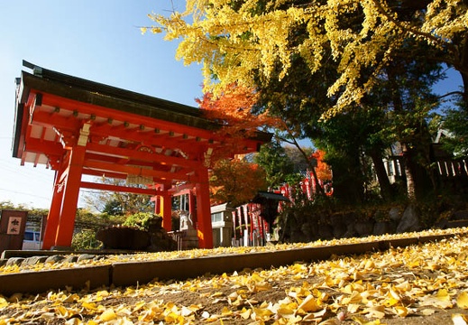 201112051414-DSC08655.jpg