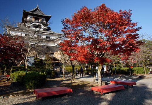 201112051424-DSC08671.jpg