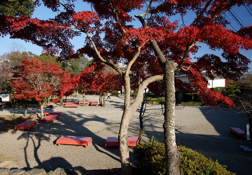201112051425-DSC08674.jpg
