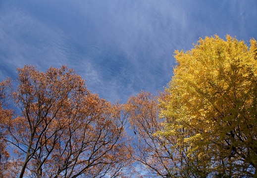 201112101240-DSC09390.jpg
