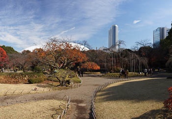 201112101244-DSC09393.jpg