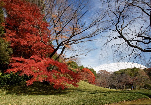 12.10 小石川後楽園