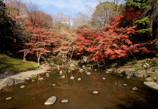 201112101248-DSC09402.jpg