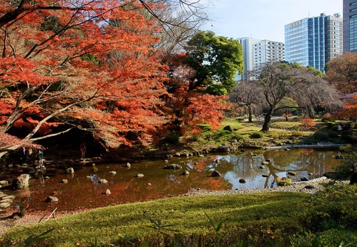 201112101250-DSC09406.jpg