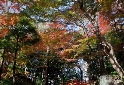 201112101258-DSC09423.jpg